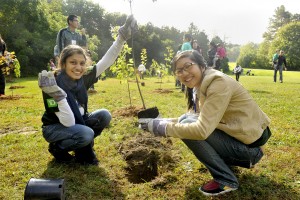 Field work: Planting trees UTSC