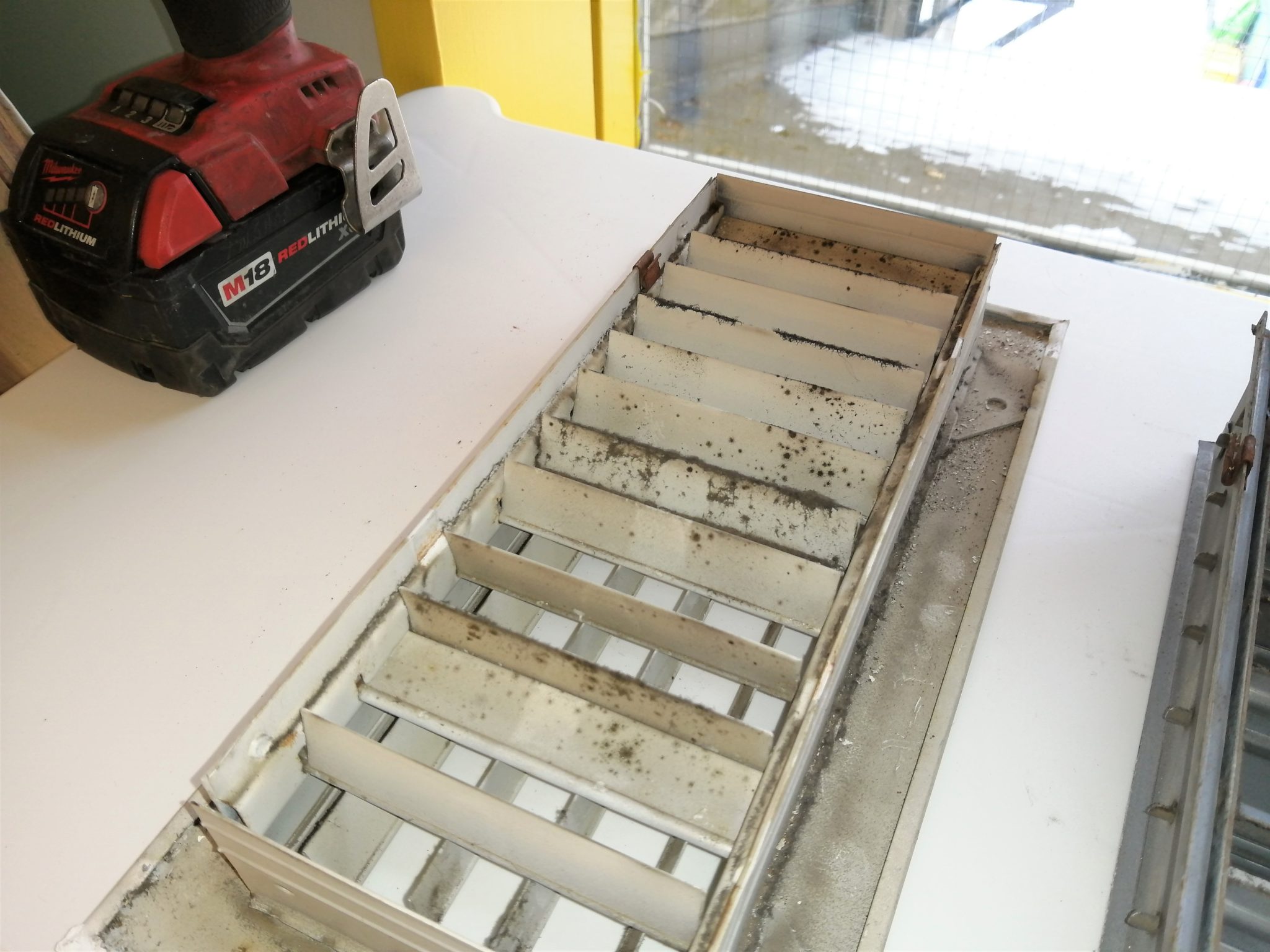 Mould_on_Diffuser Environmental Health & Safety